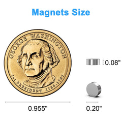 Caturledas 250-pack magnets with transparent storage case for organization.
