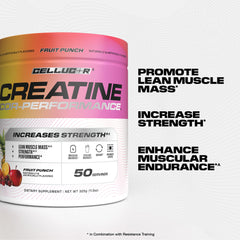 Cellucor Creatine Powder Fruit Punch scoop ready to measure daily serving