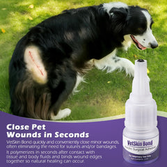 Ceoighe precision applicator tips enable accurate placement on small wounds.