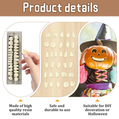 Ceonam denture teeth model learning prop for dental practice