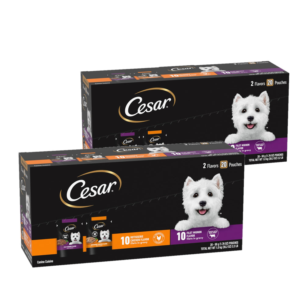 Cesar Filets in Gravy filet mignon pouch, juicy texture for a tasty adult dog meal