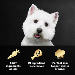 Cesar Simply Crafted chicken topper with kibble, easy daily meal enhancement.