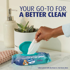 Charmin Flushable Wipes with resealable top to keep moisture.