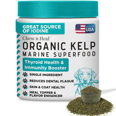 Chew + Heal Labs Sea Kelp Powder bottle for dogs highlights iodine-rich supplement for thyroid support.