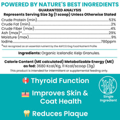 5cc spoon included with Chew + Heal Labs kelp powder for easy dosing.