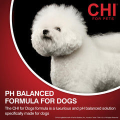 Puppy enjoying a wash using CHI for Dogs Deep Moisture Shampoo.