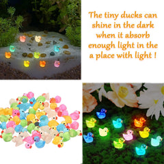 Cidinge ducks in 10 colors adds vibrant variety to dollhouses and layouts.