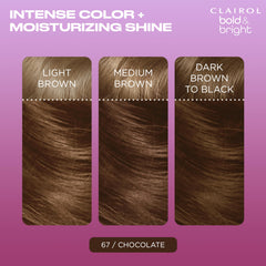 Clairol Bold & Bright color boost glaze tube offers quick shade refresh.