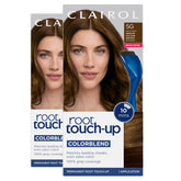 Clairol Nice'n Easy root touch-up kit brush for precise application.