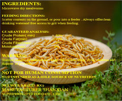 Classic Flock bag-open mealworms; convenient feeding setup for chickens and birds.