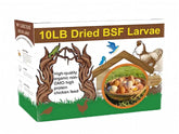 Classic Flock BSF larvae in a feeder boost poultry protein intake for healthy eggs