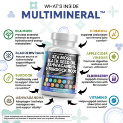 Clean Nutraceuticals ashwagandha turmeric capsules promote calm focus and energy balance