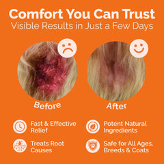 ClearFur cat coat recovery near irritated areas after use.