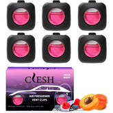 CLESH Peach Berry 6-pack box with six vent clips for steady car scent.