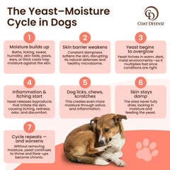 COAT DEFENSE sensitive-skin shampoo bottle ready for gentle cleansing without harsh chemicals