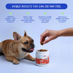 Coco and Luna Cranberry soft chews close-up ingredients, cranberry and ACV focus supporting natural defenses.