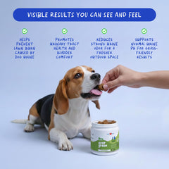 Coco and Luna Grass Burn Spot Soft Chews packaging box, convenient for daily dosing.
