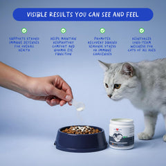 Coco and Luna L-Lysine powder scoop pouring into a bowl for cat health.