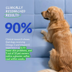 Coco and Luna dog heart health info visual hinting cardiovascular support.