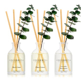 COCORRÍNA Lavender Eucalyptus diffuser bottle emits calming aroma for home spaces.