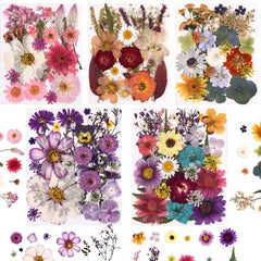 Cokosing 5 packs pressed dried flowers for resin art and DIY projects