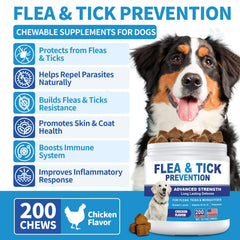 ColEaze dog chews in use as a daily preventive treat.