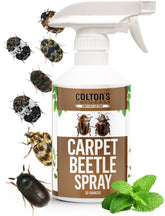 Colton's Naturals Carpet Beetle Spray bottle front for convenient indoor use.