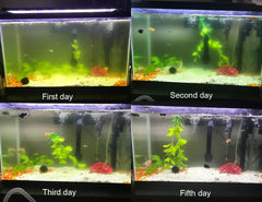 COODIA built-in UV pump providing steady water circulation