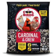 Cool Birds Cardinal & Crew seed blend in a bag attracts cardinals and other backyard birds