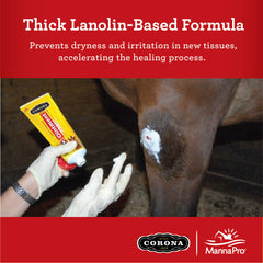 A horse-care scene showing Corona Ointment in use for soothing skin