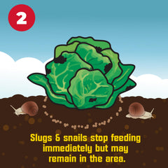 Corry's Slug Snail Killer used in ornamental and fruit garden areas