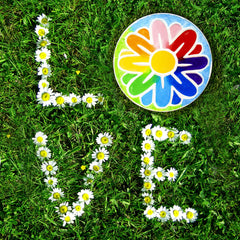 Creative Roots paintbrush included for precise detailing by kids.