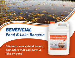 Crystal Blue muck breakdown action shows reduced debris on pond surface