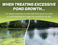 Crystal Plex one-acre coverage on pond surface, effective algae management.