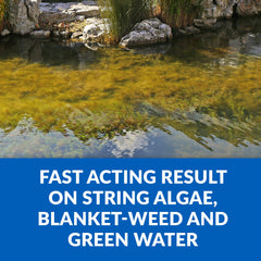 CrystalClear Algae D-Solv gallon container ready to treat large ponds