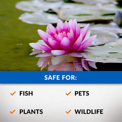 CrystalClear Algae D-Solv treats green water for clearer pond water