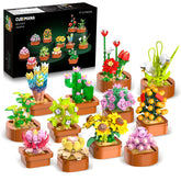 CUBIMANA 12-pack flowers succulents mini set displayed in a vibrant home decor arrangement