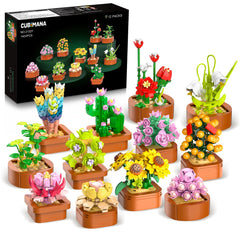 CUBIMANA 12-pack flowers succulents mini set displayed in a vibrant home decor arrangement