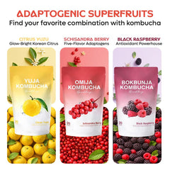 DALAMHARI Kombucha Powder Probiotic Blend supports easy gut-friendly beverage options.