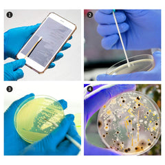 DalosDream plastic-droppers: precise liquid handling for experiments.