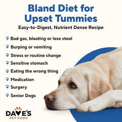 Dave's Pet Food Bland Diet can label highlights limited ingredients and gluten-free options.