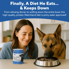 Dave's Pet Food Bland Diet serving bowl demonstrates convenient portion control for daily feeding.