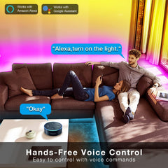 Daybetter 50ft roll app control display with color customization