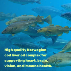 DEAL SUPPLEMENT close up of softgels highlighting omega-3 content
