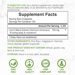 Deal Supplement Lions Mane capsules top view reveals compact two-capsule daily serving.