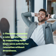 DEAL SUPPLEMENT L-Theanine night scene suggests non-drowsy relaxation before bed.