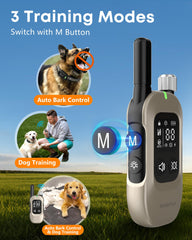 Delupet demonstrates three training modes for versatile dog training.