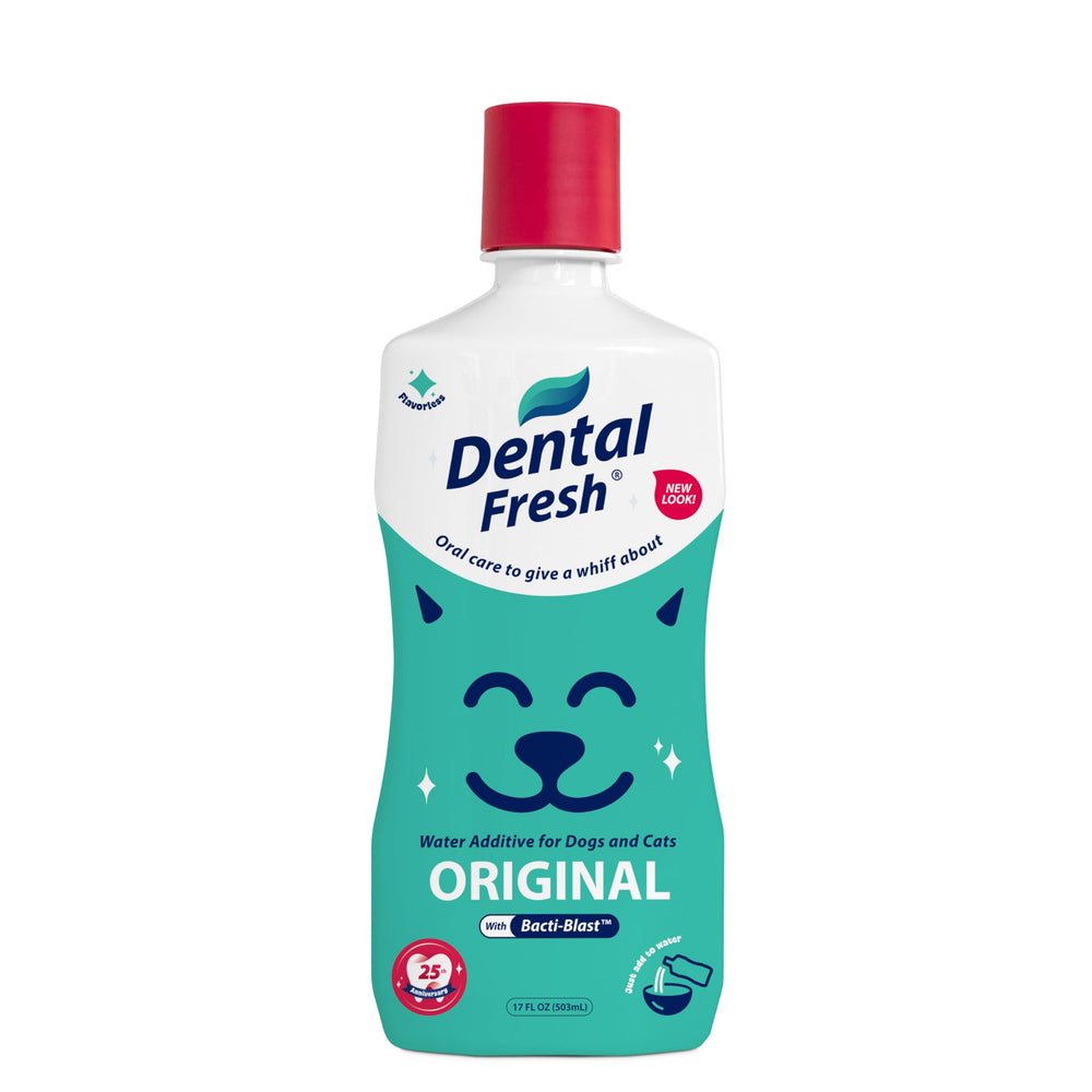 Dental Fresh – additif eau dentaires, bouteille, hygiène bucco-dentaire pratique.
