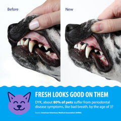 Dental Fresh flavorless formula keeps water unaltered while promoting dental care.