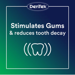 Dentek Professional Oral Care Kit stainless steel scaler for weekly tartar removal